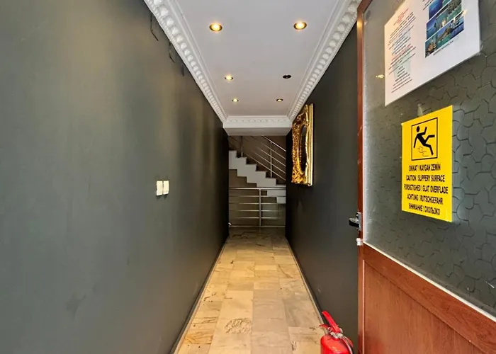 Metropolitan * מרמריס