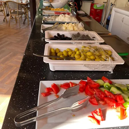 Lägenhetshotell Metropolitan *